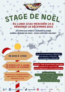 Stage de Noël du 22 au 24 décembre et 26 décembre 2025