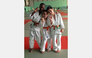 Résultats du tournoi de Fontenay-aux-Roses (dimanche 8 mars 2015)