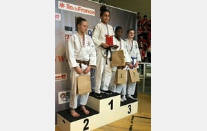 Championnat IDF minimes - Samedi 4 avril 2015