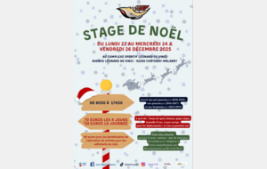 Stage de Noël du 22 au 24 décembre et 26 décembre 2025