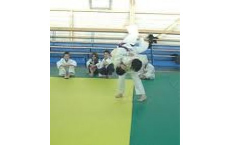 Le judo au collège Léonard de Vinci en 2010