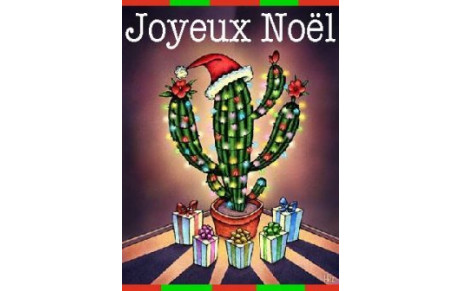 FETE DE NOËL DE L’ASVCM JUDO - Samedi 22 décembre 