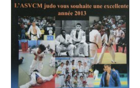 Meilleurs voeux 2013