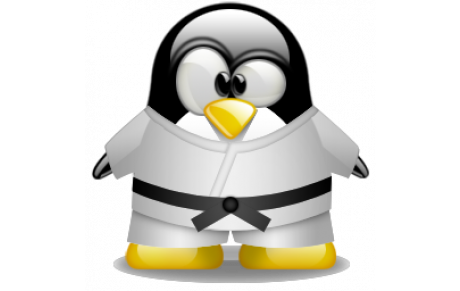 Tournoi des Ptits Kyus