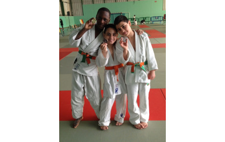 Résultats du tournoi de Fontenay-aux-Roses (dimanche 8 mars 2015)