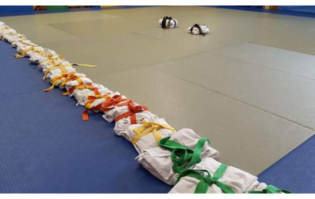 L'UNESCO déclare le judo comme meilleur sport initial...