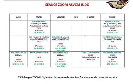 Sessions Zoom du 9 au 13 novembre 2020