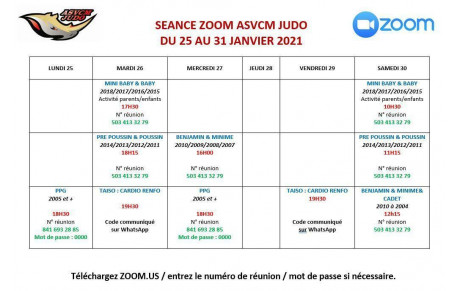 Sessions zoom du 25 au 31 janvier 2021